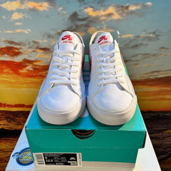 Nike SB Blazer Court Skate Shoes