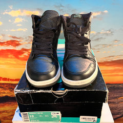 Air Jordan 1 x SB 'Craig Stecyk'