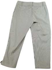 Ann Taylor Pinstripe Curvy Casual Slacks