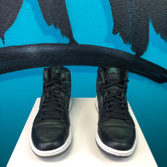 Air Jordan 1 x SB 'Craig Stecyk'