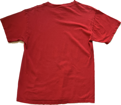 1998 NFL Atlanta Falcons NFC Champs Football Graphic T-Shirt