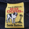 Big Dogs Live to Ride - Ride to Live 03' Graphic T'