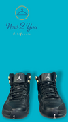 Air Jordan 12 Retro 'The Master' GS