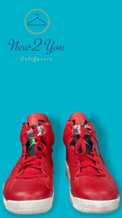 Air Jordan 6 Spizike 'History of Jordan'